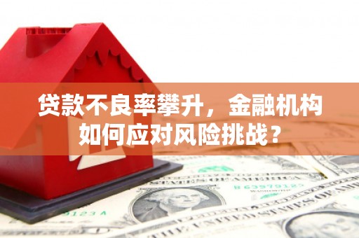 临桂贷款不良率攀升，金融机构如何应对风险挑战？