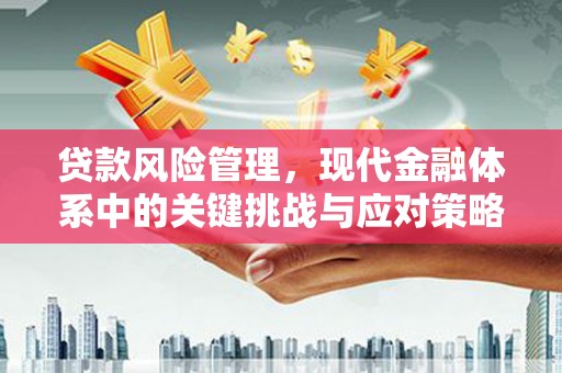 临桂贷款风险管理，现代金融体系中的关键挑战与应对策略