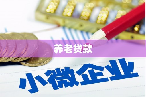 临桂养老贷款