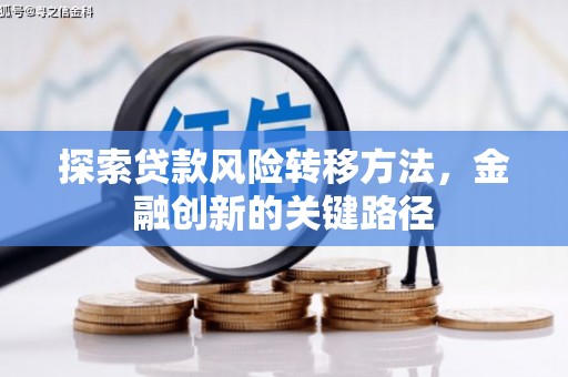 临桂探索贷款风险转移方法，金融创新的关键路径