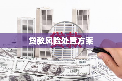 临桂贷款风险处置方案