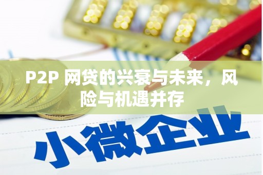 临桂P2P 网贷的兴衰与未来，风险与机遇并存