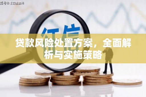 临桂贷款风险处置方案，全面解析与实施策略