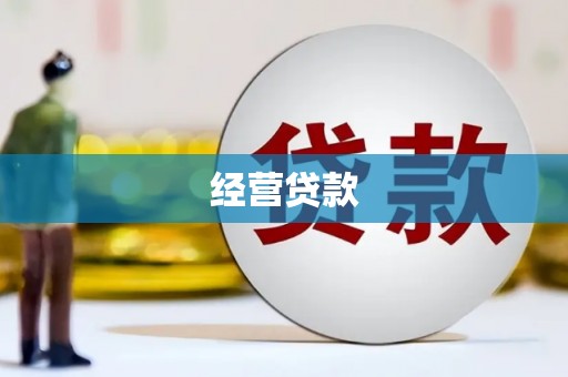 临桂经营贷款