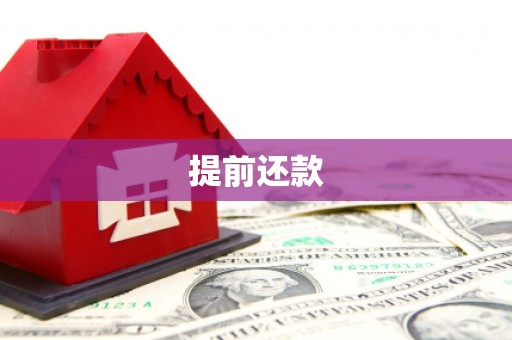 临桂提前还款